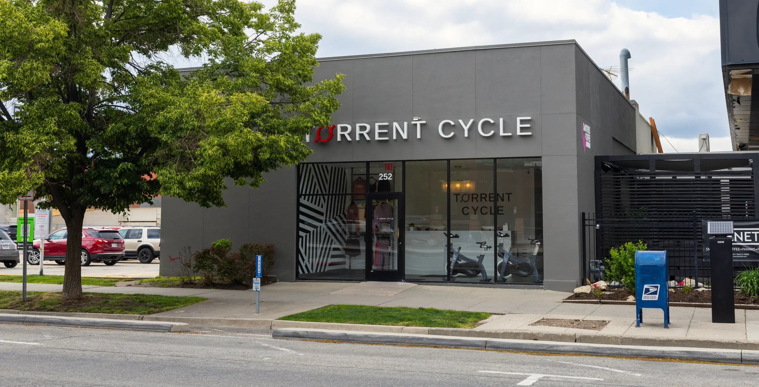 Torrent Cycle